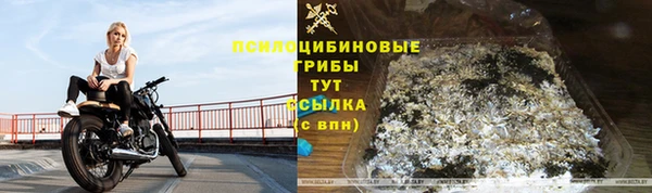 таблы Горнозаводск
