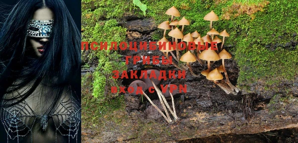 тгк Горняк