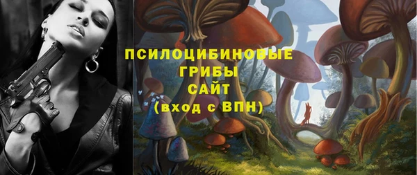 тгк Горняк