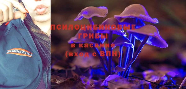 таблы Горнозаводск