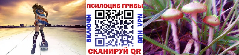 Галлюциногенные грибы мухоморы  цена наркотик  blacksprut ССЫЛКА  Данилов 