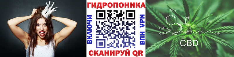 Бошки Шишки VHQ купить кракен ONION Данилов